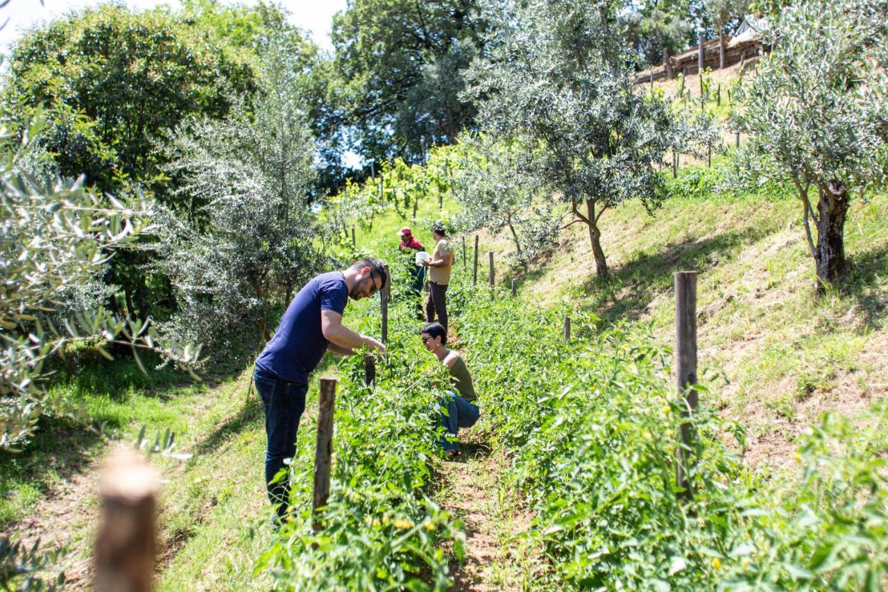 Home 4 Creativity - Coliving Calabria Montalto Uffugo Esterno foto
